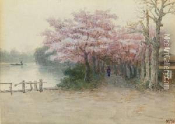 River Landscape With Cherry Blossom Oil Painting - Ito Yoshihiko