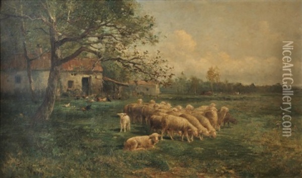 Moutons Pres De La Ferme Oil Painting - Albert Tibule Furcy De Lavault