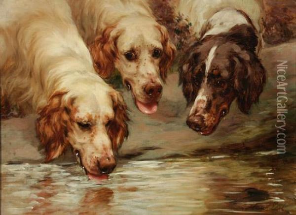 English Setters Oil Painting - Maud Earl