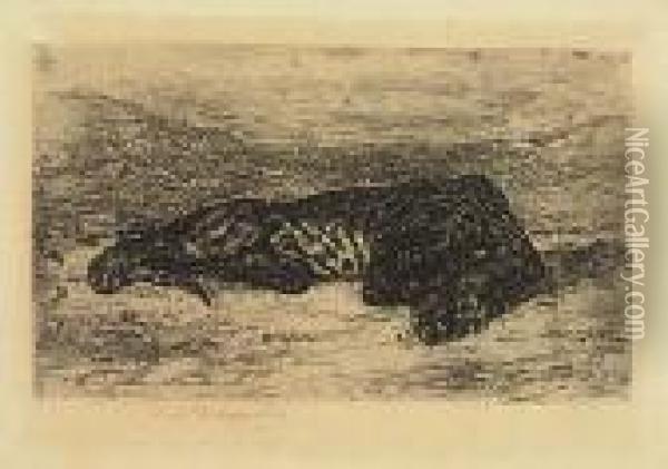 Tigre Couche Dans Le Desert<</b> Oil Painting - Eugene Delacroix