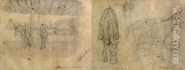 Sketches Of Horses Oil Painting - John Edward Borein