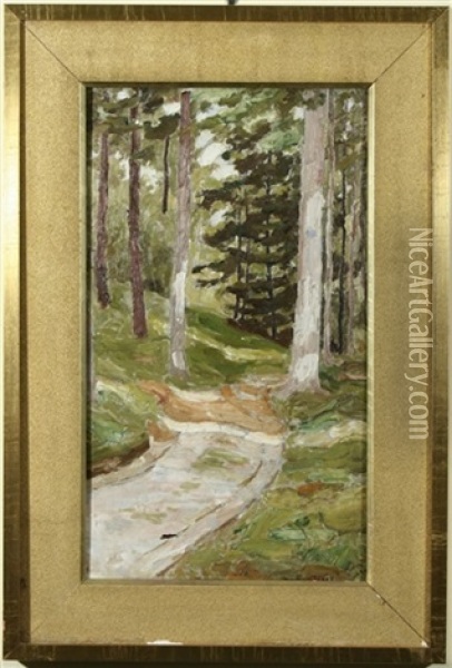 Path In The Forest, Twin Lakes Oil Painting - Robert B. Brandegee