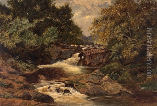 Ferntree Gully Oil Painting - Henry James Johnstone