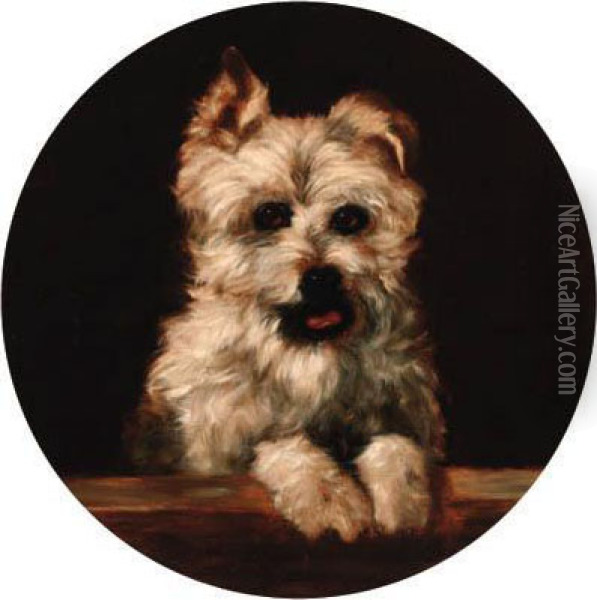 A West Highland Terrier Oil Painting - Heywood Hardy