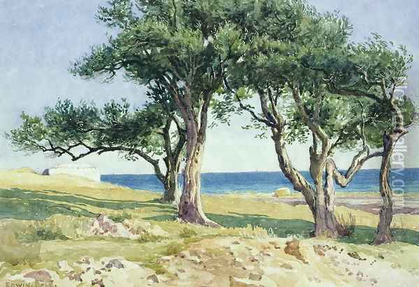 Old Olive Trees, Bordighera Oil Painting - Edwin Bale