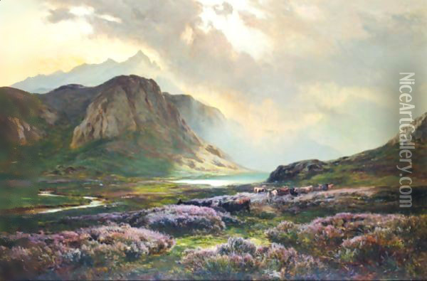 Highland Cattle Amongst The Heather Oil Painting - Sidney Richard Percy