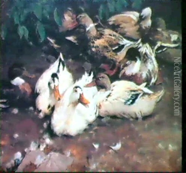 Elf Ruhende Enten Am Teich In Klausen Oil Painting - Alexander Max Koester