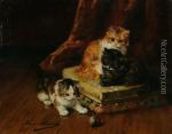 Kittens Oil Painting - Alphonse de Neuville