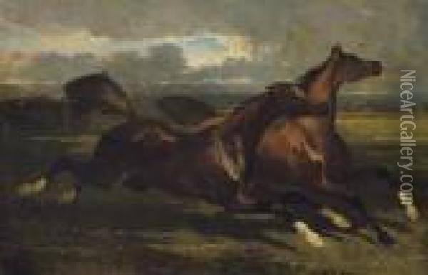Etalons Au Galop: Galloping Stallions Oil Painting - Alfred De Dreux
