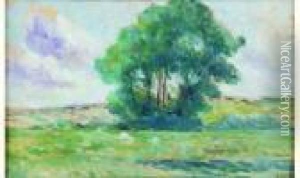 Prairie Au Bouquet D'arbres Oil Painting - Maximilien Luce