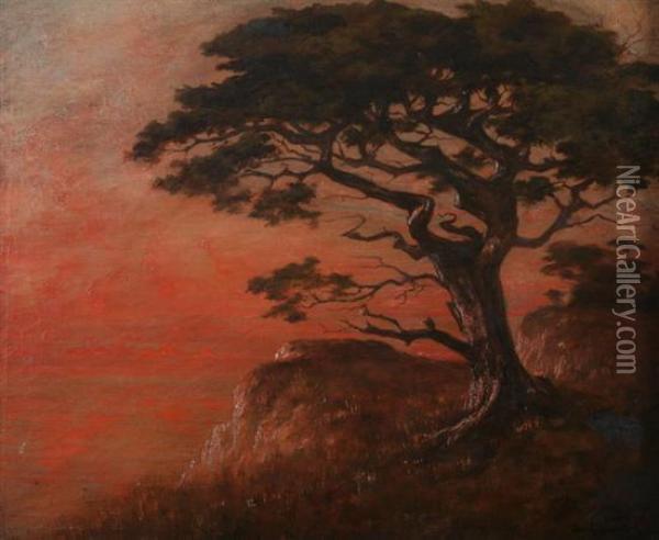 Windswept Tree Above Coast Oil Painting - Carl Kahler