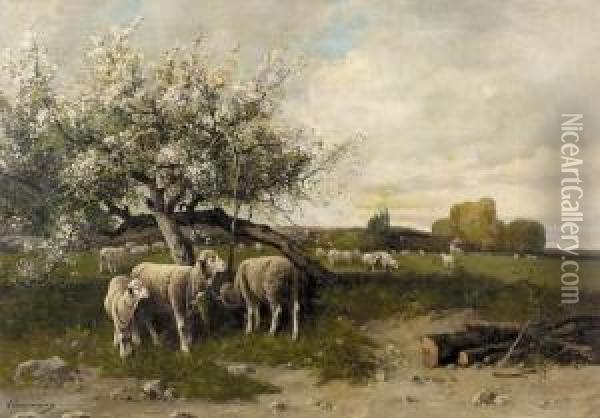Schafe Unter Bluhendem Obstbaum. Oil Painting - Charles Ferdinand Ceramano