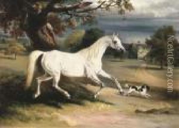 Mr. Dawson's Phoebus Oil Painting - John Snr Ferneley