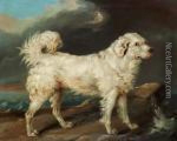 Friederich Kiorboe Ascribed To: A Dog On A Cliff At The Sea Oil Painting - Carl Fredrik Kioerboe