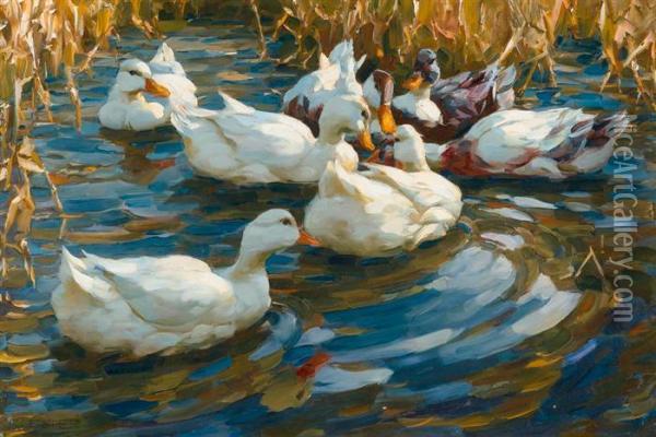 Ducks In Blue Reedy Water. Oil Painting - Alexander Max Koester
