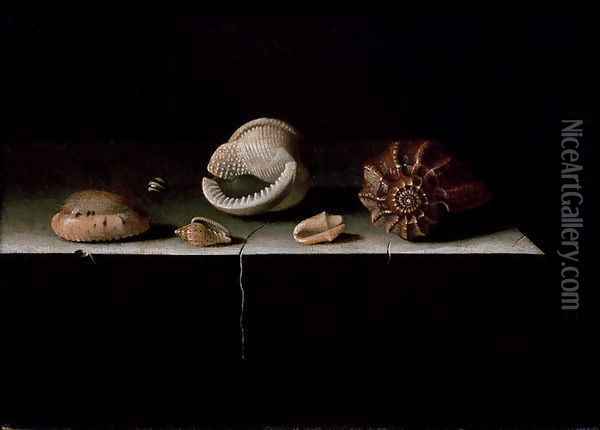 Six Shells on a Stone Shelf, 1696 Oil Painting - Adriaen Coorte