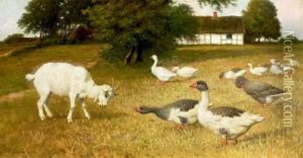 A Goat, Ducks And Geese In The Field. Signed P. St. 1905 Oil Painting - Povl Steffensen