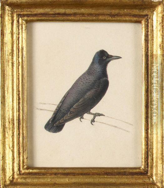 Corbeau Oil Painting - Pancrace Bessa