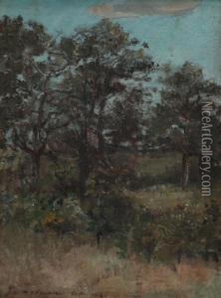 Landscape Oil Painting - William Rudolph O'Donovan