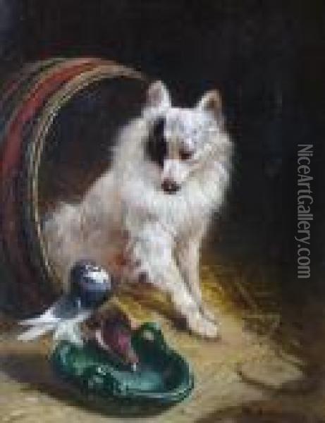 A Feathered Friend. Oil Painting - Henriette Ronner-Knip