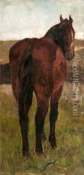 Stehendes Pferd Oil Painting - Thomas Herbst