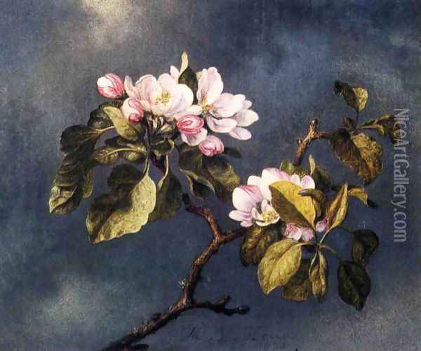 Apple Blossoms 2 Oil Painting - Martin Johnson Heade