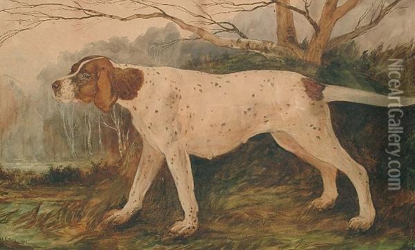 An English Pointer Hunting In A Wooded Landscape Oil Painting - W.D. Guthrie
