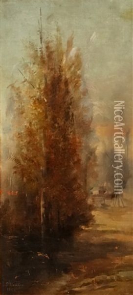 Landscape With Trees And Fountain Oil Painting - Sava Hentia