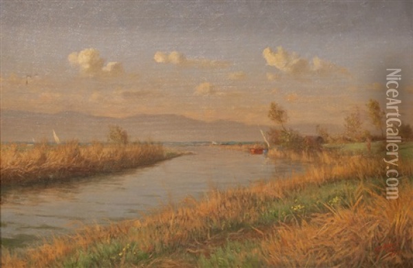 Bords Du Lac De Neuchatel Oil Painting - Vincent Gilliand