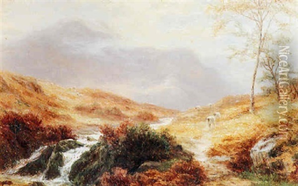 Mountain Stream, Near Capel Curig, North Wales Oil Painting - William Mellor
