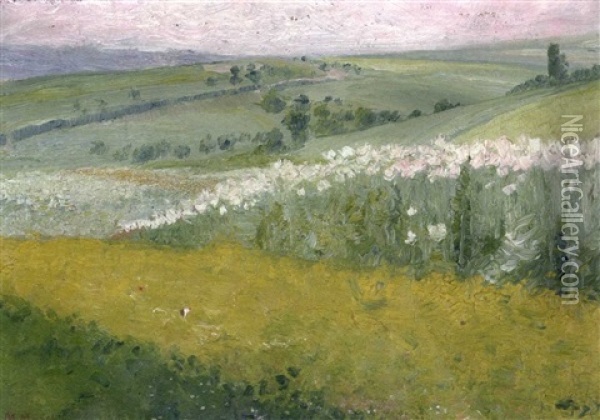 Erfurter Blumenfelder Oil Painting - Mathieu Molitor