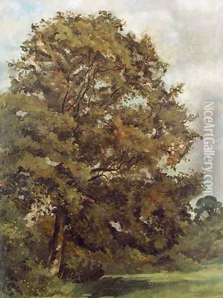 Study of an Ash Tree, c.1851 Oil Painting - Lionel Constable