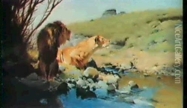 A Lion And Lioness At A Stream Oil Painting - Wilhelm Friedrich Kuhnert