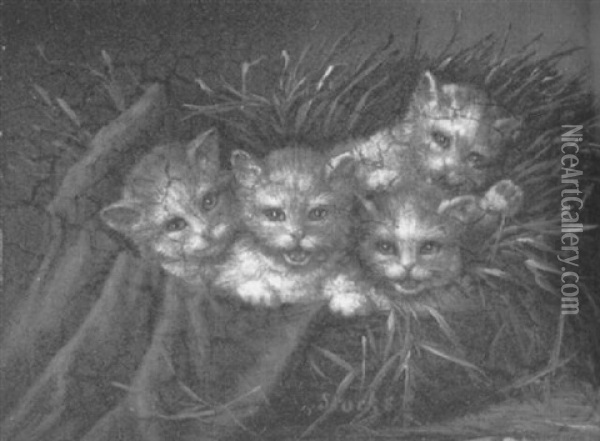 Ein Quartett - Junge Katzen In Einem Korbchen Oil Painting - Minna Stocks
