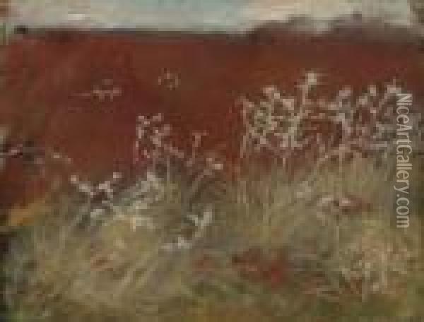 Thistles Oil Painting - John Singer Sargent