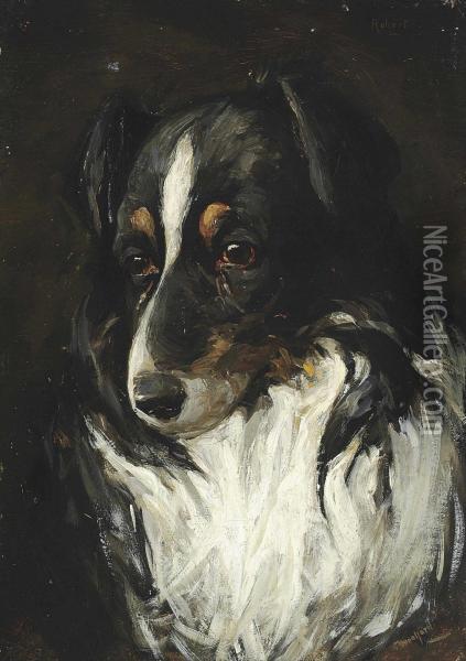 Study Of A Collie Oil Painting - Charles Halkerston Woolford