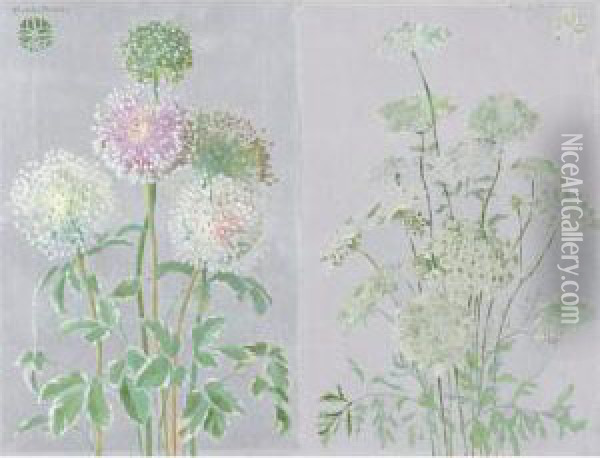 Allium And Queen Anne's Lace: A Pair Of Paintings Oil Painting - Adele Herter