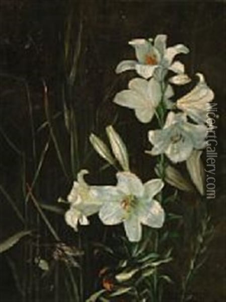 White Lilies Oil Painting - Signe Andreasen