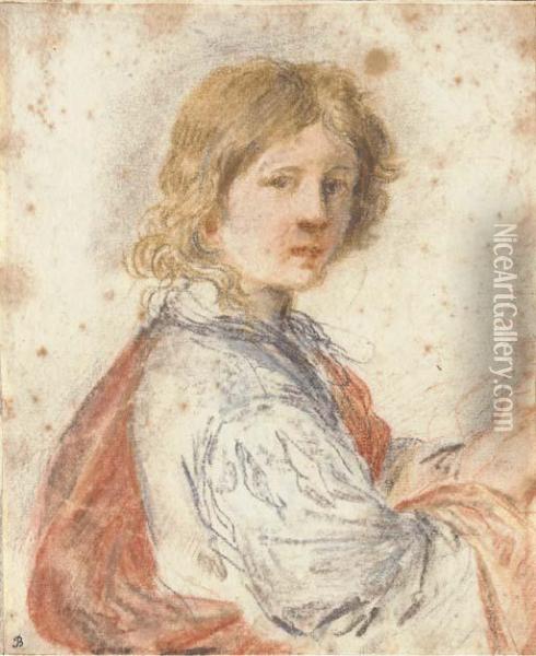 A Young Man, Half-length Oil Painting - Guercino