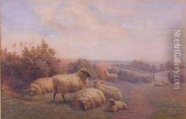 Sheep Resting, Summer Afternoon Oil Painting - Henry Birtles