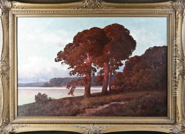 Stimmungsvolle Markische Landschaft Oil Painting - Rudolf Hellgrewe