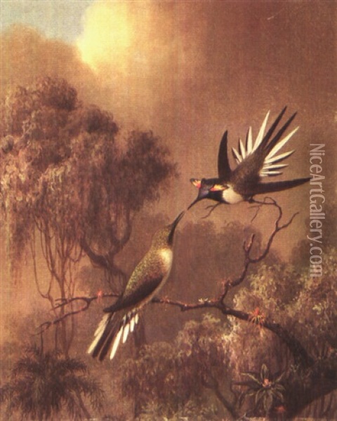 Hummingbirds Oil Painting - Martin Johnson Heade