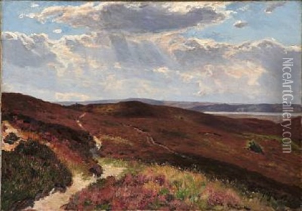 Overlooking A Moor Landscape Oil Painting - Godfred Christensen