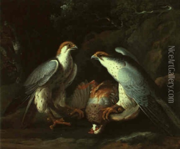 Zwei Jagdfalken Mit Einem Erlegten Vogel Oil Painting - Philipp Ferdinand de Hamilton