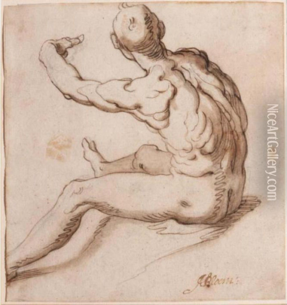 A Seated Male Nude, Seen From Behind Oil Painting - Abraham Bloemaert