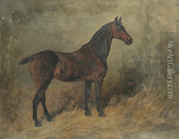 Study Of A Horse Oil Painting - John Emms