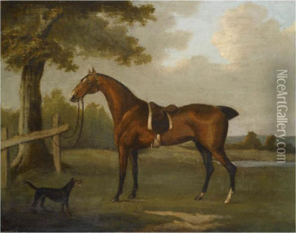 A Bay Hunter With A Manchester Terrier Oil Painting - John Nost Sartorius