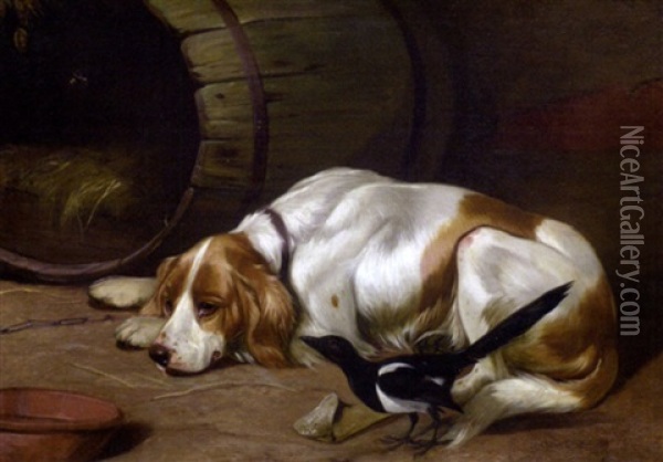 A Spaniel And A Magpie In A Barn Oil Painting - Colin Graeme