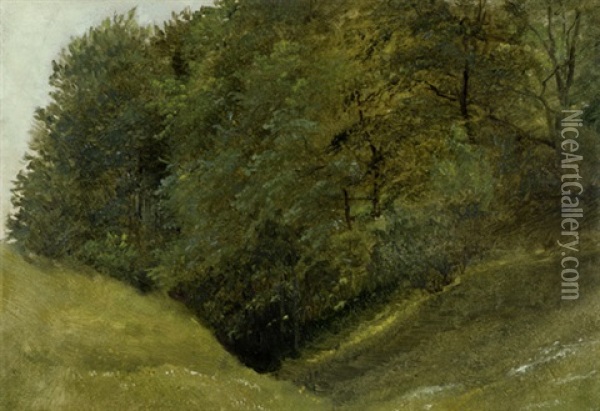 Studie Eines Waldhangs Im Sommer Oil Painting - Eduard Emil August Leonhardi