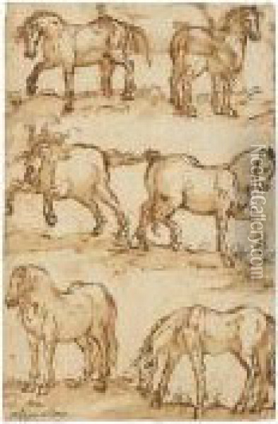 Six Studies Of Horses Oil Painting - Filippo D Angeli
